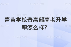 青苗學校普高部高考升學率怎么樣？