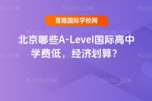 ЩA-LevelHЌWMͣ㣿