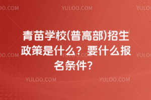 青苗學校(普高部)招生政策是什么？要什么報名條件？