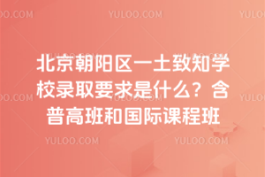 北京朝陽區一土致知學校錄取要求是什么？含普高班和國際課程班
