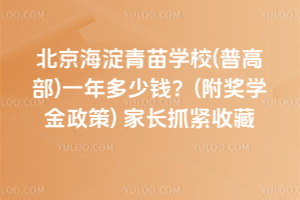 2025年北京海淀青苗學校(普高部)一年多少錢？(附獎學金政策)家長抓緊收藏