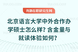北京語言大學中外合作辦學碩士怎么樣？含金量與就讀體驗如何？