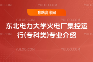 |W늏S\()IB