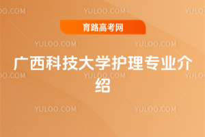 VƼW(xu)o팣I(y)B
