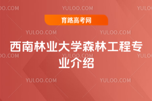 ֘I(y)W(xu)ɭֹ̌(zhun)I(y)B