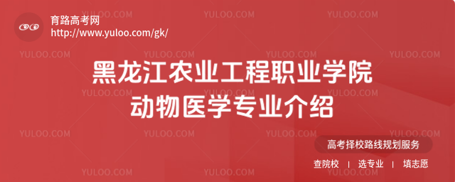 r(nng)I(y)I(y)W(xu)Ժ(dng)t(y)W(xu)I(y)B