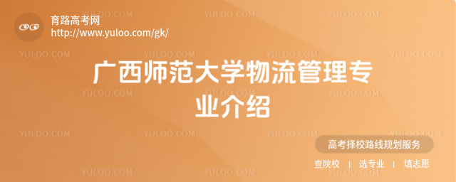 VW팣IB