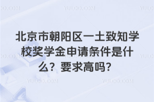 北京市朝陽區一土致知學校獎學金申請條件是什么？要求高嗎？