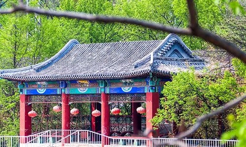 橘郡國際學校(北京校區)