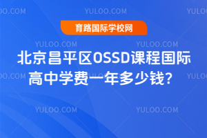 ƽ^OSSDṅHЌWMһX