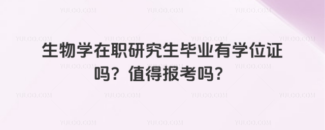 WоIЌWλC᣿ֵÈ󿼆᣿