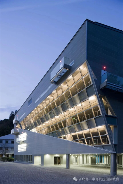 中育貝拉藝術升學路徑