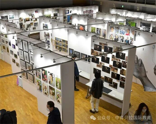 中育貝拉藝術升學路徑