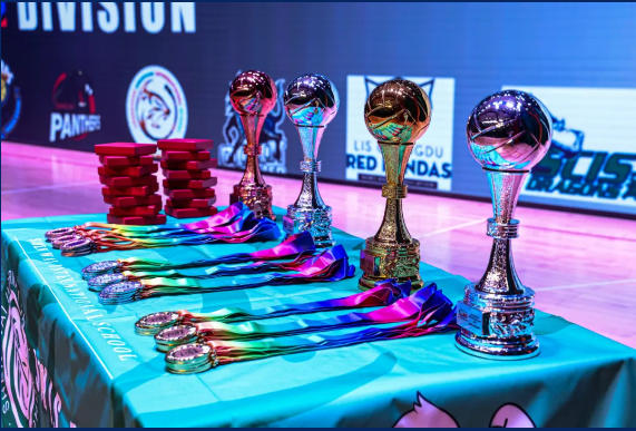 ΰACAMISŮpŮꠌFB