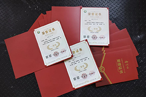 張家口未來學(xué)校學(xué)子在國家級書畫大展中斬獲多項大獎!