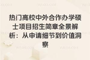 熱門高校中外合作辦學碩士項目招生簡章全景解析:從申請細節到價值洞察