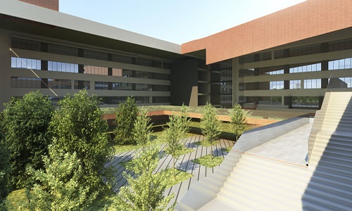 ɽ|t(y)W(xu)ߵȌƌW(xu)У