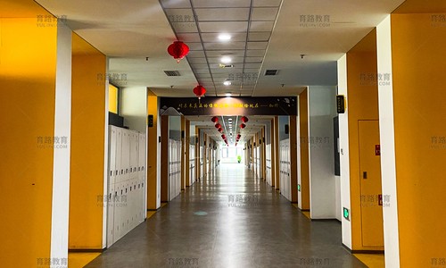 北京朝陽凱文學校升學成果