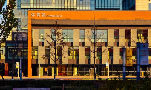 北京朝陽凱文學校升學成果