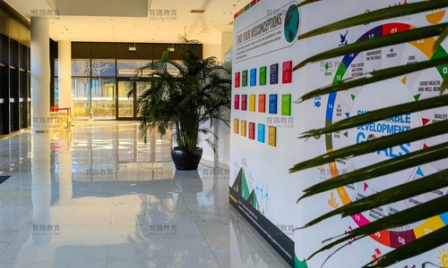 北京朝陽凱文學校升學成果